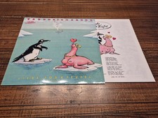 LP Vinyl Erste Allgemeine