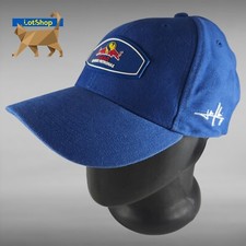 1998 Jean Alesi Red Bull