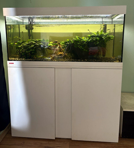 Eheim komplettaquarium 180l - eheim,