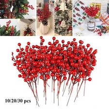 10/20/30 Stück Rote Beeren
