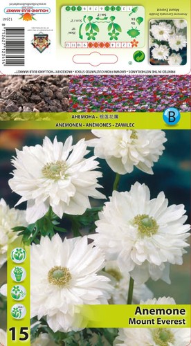 Anemone - @,