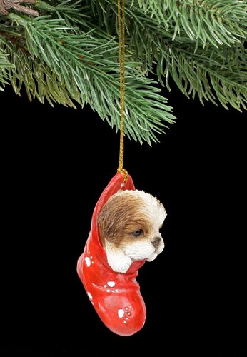 Christbaumschmuck hund shih - hund,