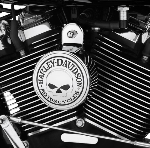 Harley davidson willie skull - harley,