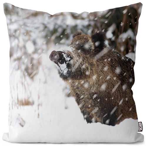 Eber wildschwein wald winter - wildschwein,