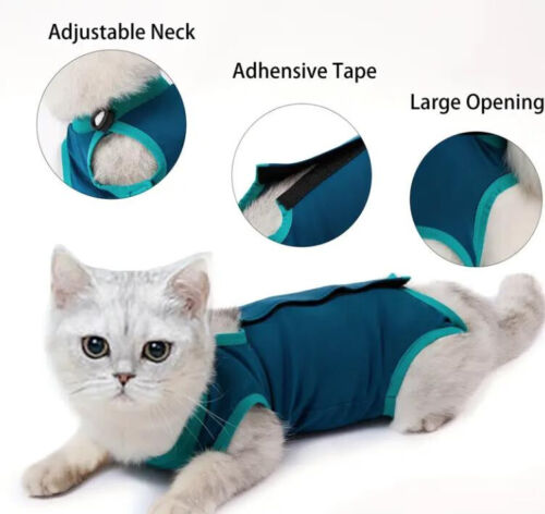 Katzenbody katzenanzug mit - ,