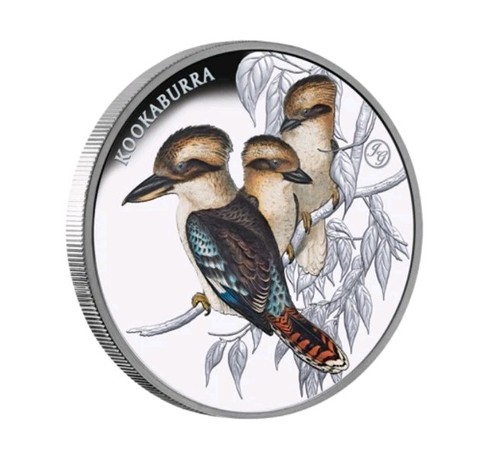 Kookaburra john goulds privy - goulds,