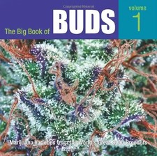 The big book buds - big, of
