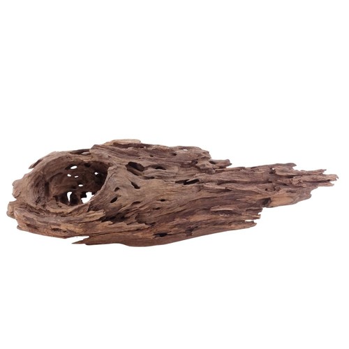 Honey comb wurzel 5152 - honey,