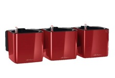 LECHUZA® Pflanzgefäße CUBE Glossy Green Wall Home Kit Scarlet rot hochglänzend