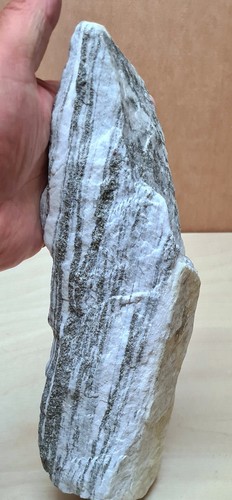 Großstufe goldglänzender