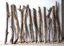 Treibholz Schwemmholz