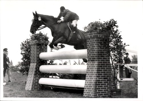 Foto springreiten sprung - springreiten,,