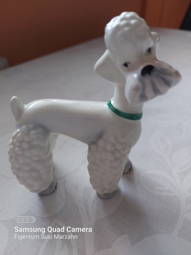 Pudel königspudel figur - königspudel,