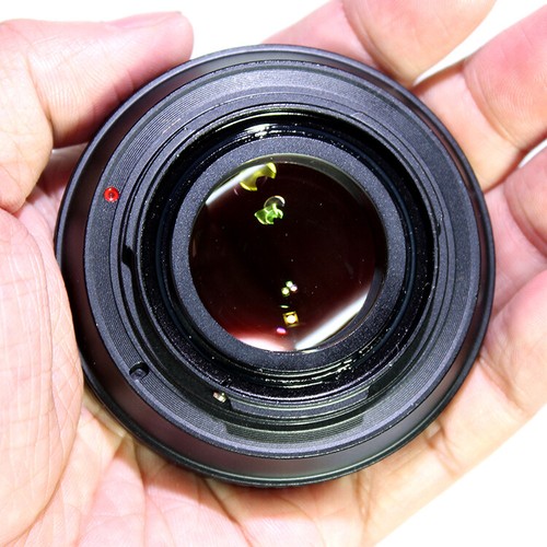 Lens adapter focal reducer - lens,
