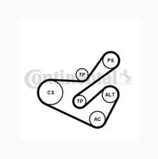 CONTINENTAL CTAM Keilrippenriemensatz 6PK1740K1  CITROËN  FIAT  LANCIA  PEUGEOT