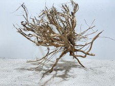 Aquariumwurzel, Etosha Tree ,  Mangrove, Garnelenbaum L40 x T30 x H36 cm #1710