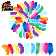 Bunte Federn Basteln
