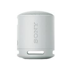 Sony SRS-XB100 kabelloser