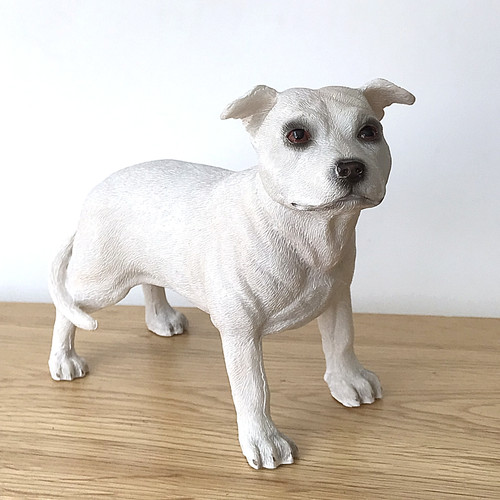Weißer staffordshire - weißer,