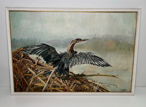 Tierbild reiher vogel - vogel, natur