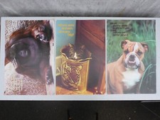 Konvolut 33x altes alte Poster