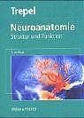 Neuroanatomie. Struktur und