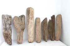 Schwemmholz Treibholz  7