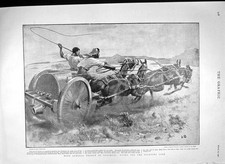 Old Antique Print 1900 General