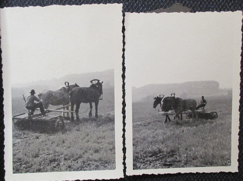Priv foto sammlung ca 1930 - kl.,