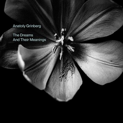 Anatoly grinberg the - grinberg, dreams
