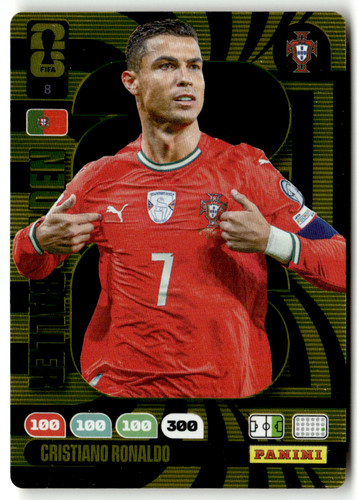 Panini fifa world cup - fifa,