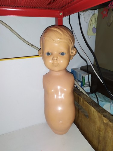 Schildkröt-Celluloid-Torso-In