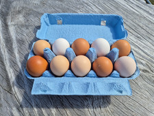 Frische Eier von glücklichen