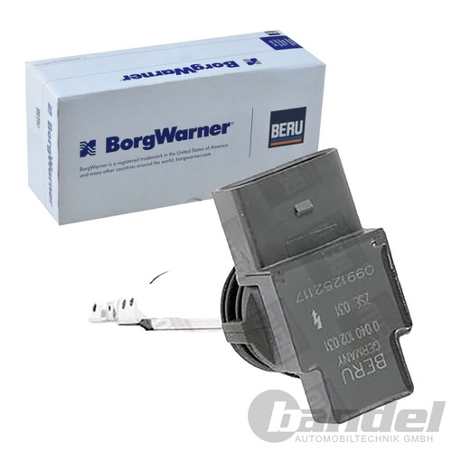 Borgwarner zündspule - (beru),