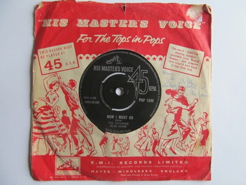 The swinging blue jeans - , -hippy