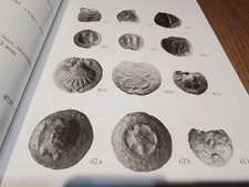 7 KATALOGE ANTIKE MÜNZEN