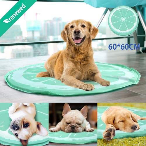 Kühlmatte für hunde - kühlmatte,