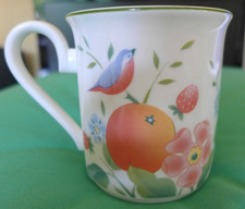 Villeroy Gallo ORANGERIE