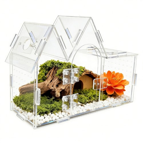 Transparent acrylic terrarium - transparent,