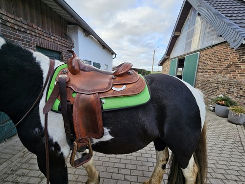 Westernsattel gomeier platinum - westernsattel,