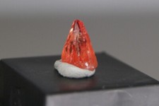 Rhodochrosit/Südafrika/N´ Chwaning Mine/Kalahari