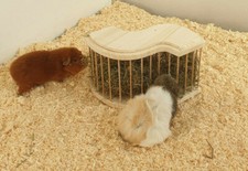 Heuraufe meerschweinchen - heuraufe,