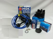 OEM Cap-Rotor-NGK Wires-Oil