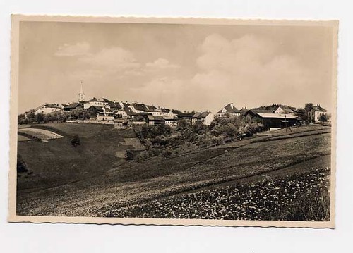 Perlesreut - perlesreut,