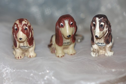 Hush puppies - 3x,