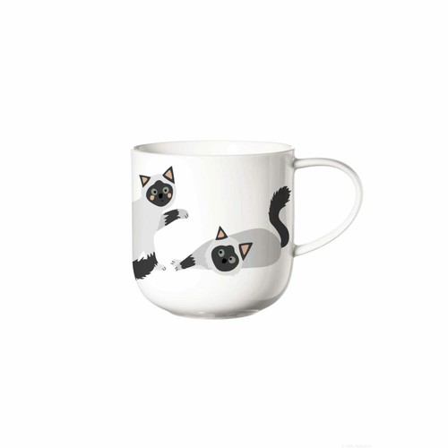 Asa selection coppa cats - asa,