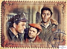 8 x Ein Käfig voller