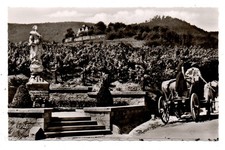 Blick zur Kropsburg bei St. Martin (Rheinpfalz) - Weinlese
