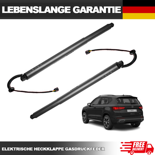 Paar elektrisch gasfeder - elektrisch,