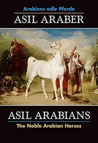 Asil araber arabians vi - asil,